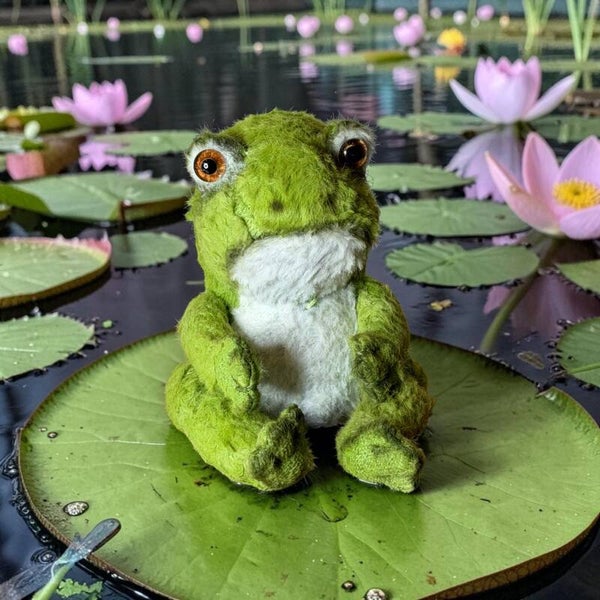 Frog Leonard
