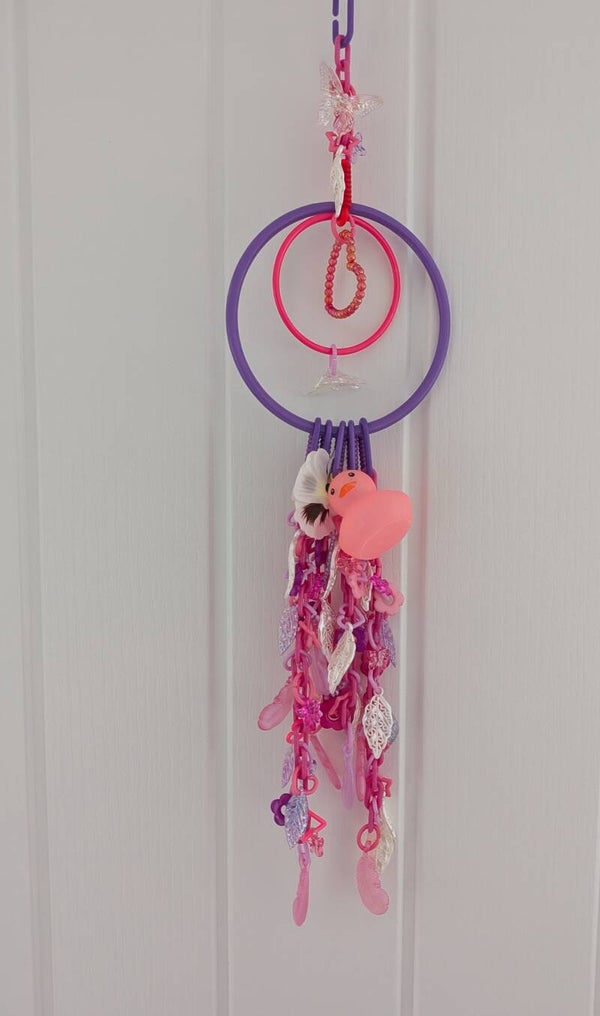 DREAMCATCHER #49