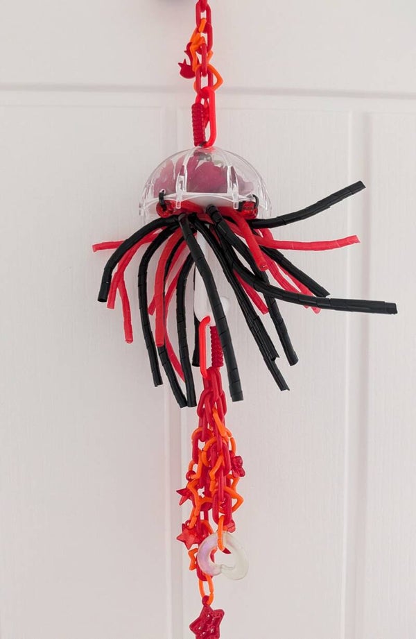 ENRICHMENT BROLLI TOY #59