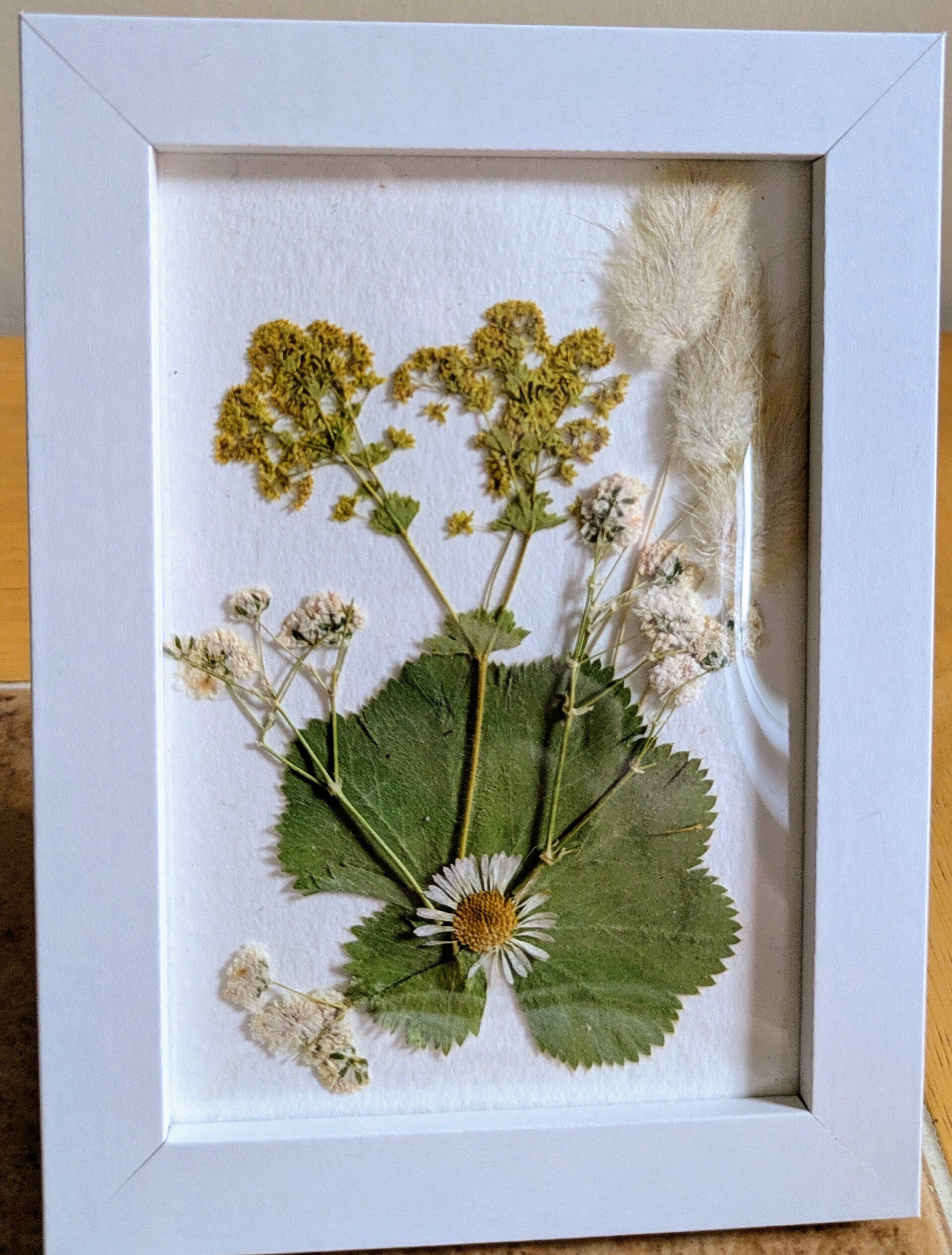 Pressed flower frames and cards, various sizes