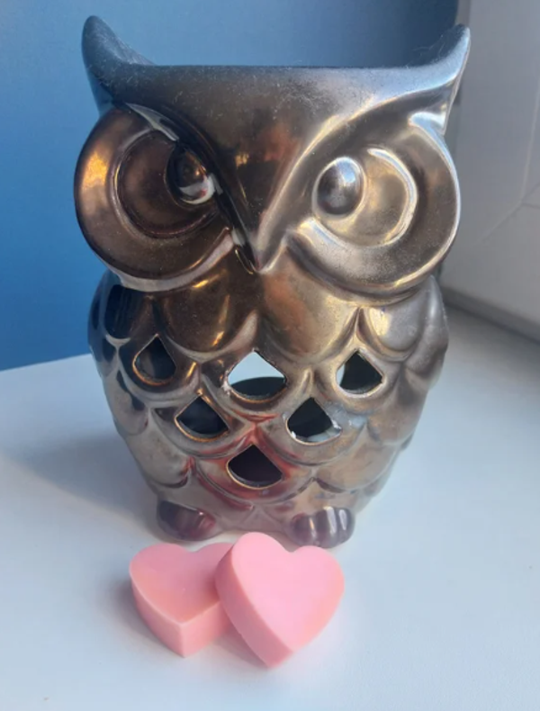 Waxmelts zoete sinaasappel (2 stuks)