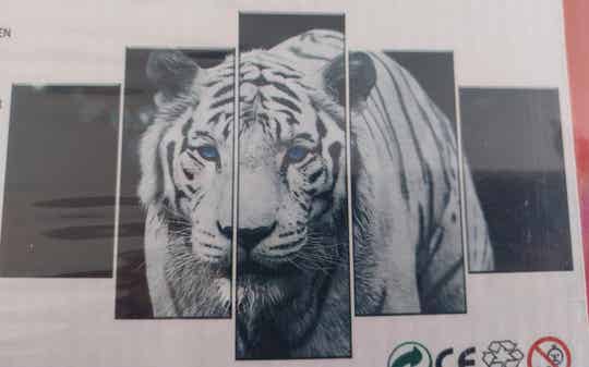 Diamond painting witte tijger