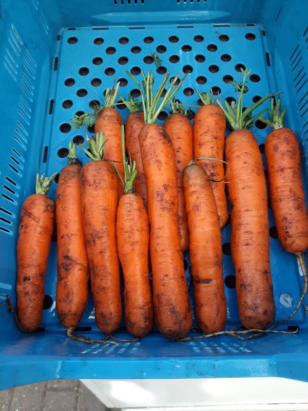 BIO wortelen/per kg