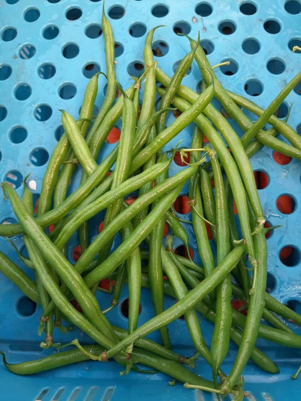 boontjes /per 500g