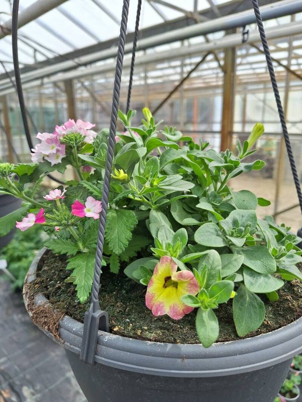 Hangpot mix 2