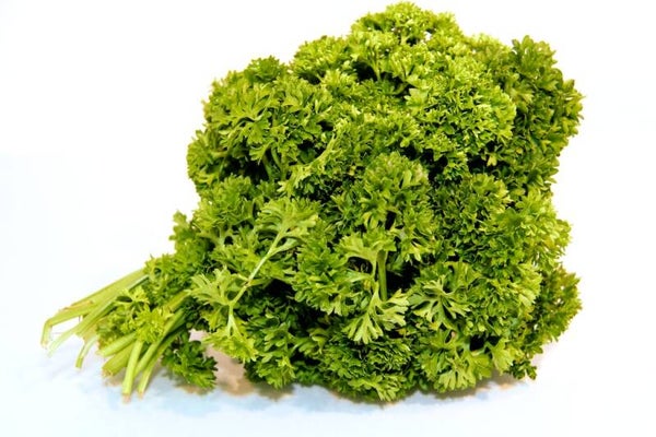 gekrulde peterselie/bussel