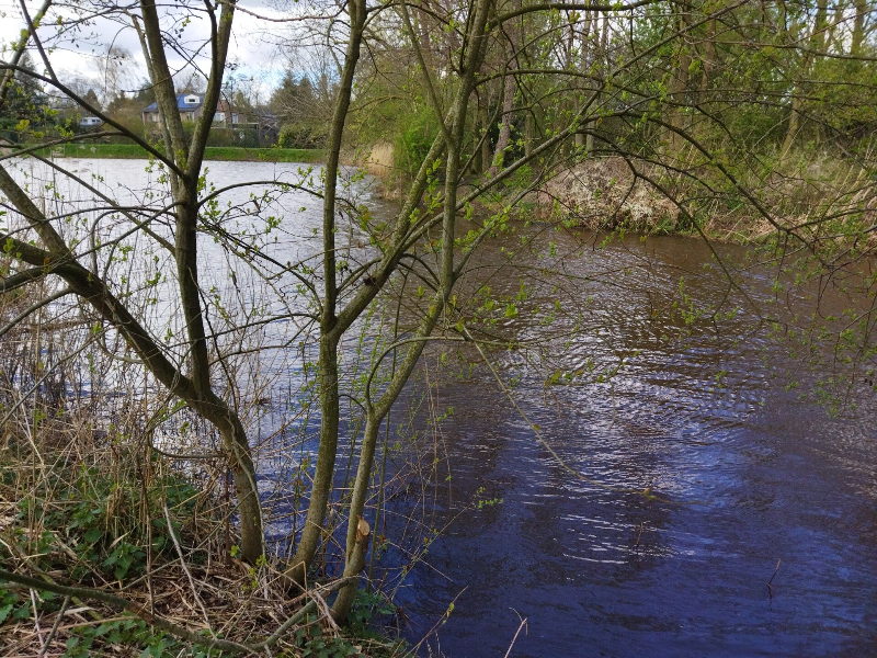 De Dommel | waterineindhoven