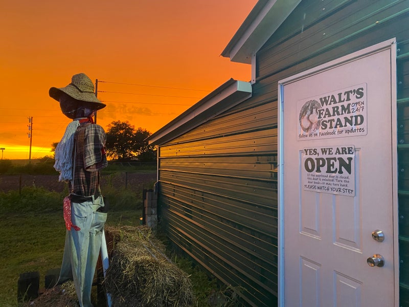 Walt's Farm Stand