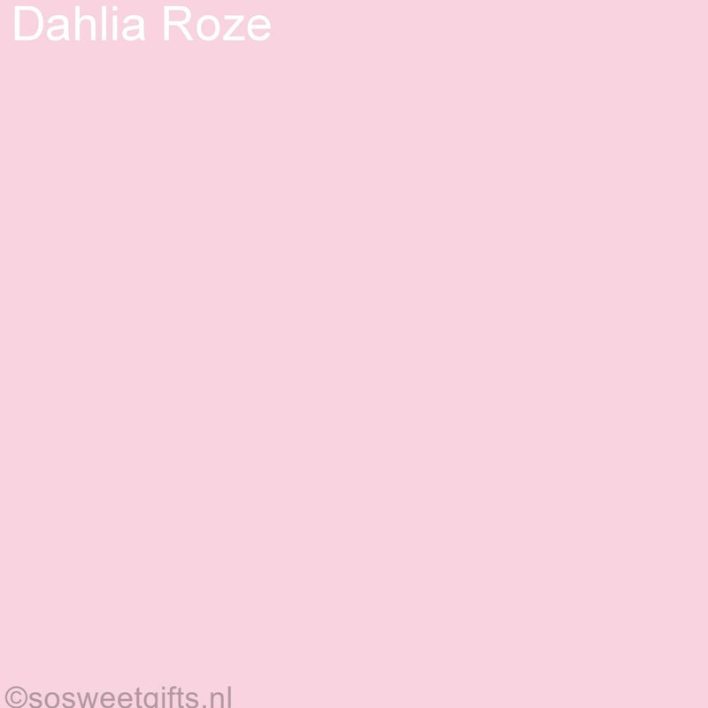 DahliaRozeCopy-8.jpg