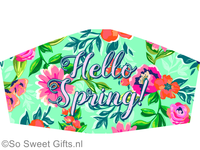 hellospringdesign79.png