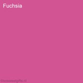 FuchsiaCopy-19.jpg