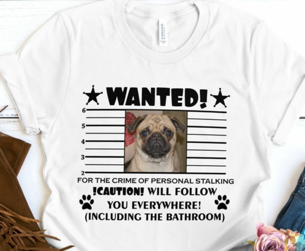 T shirt Dog Wanted