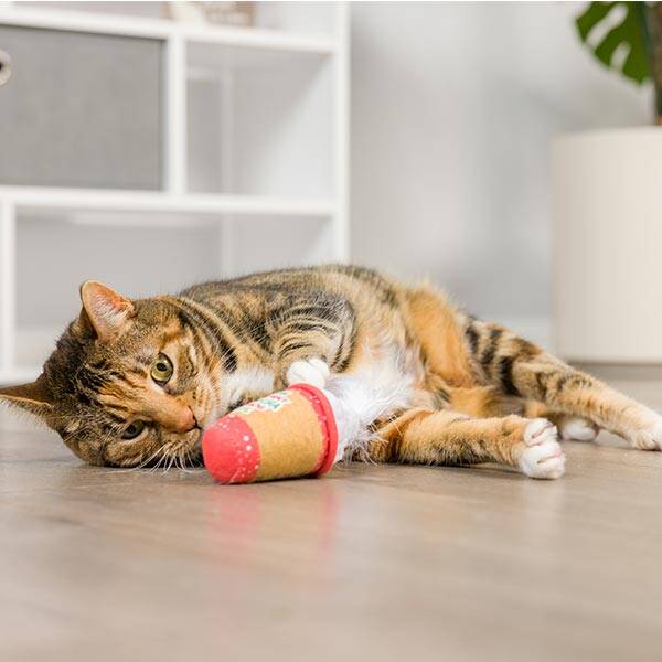 Kerst kattenspeeltje Latte