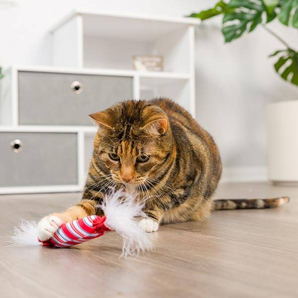 Kerst kattenspeeltjes Kitty Bell peppermint & Donut