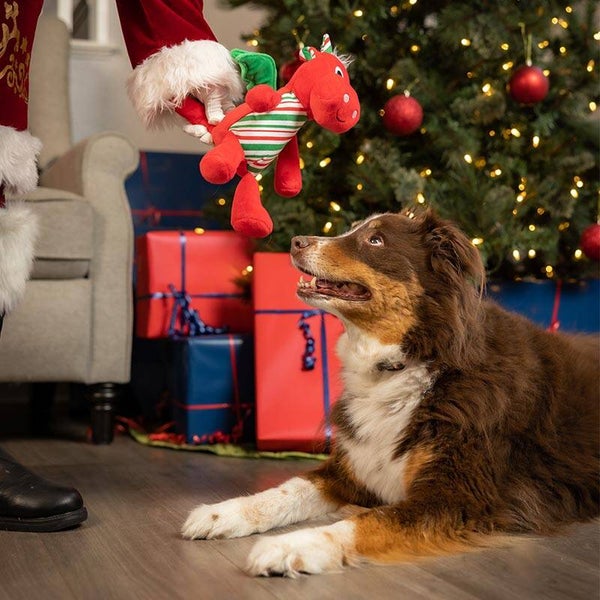 Hondenspeeltje Kerst  Dragon Large