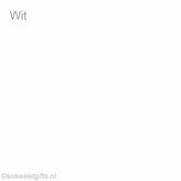 Wit-15.jpg