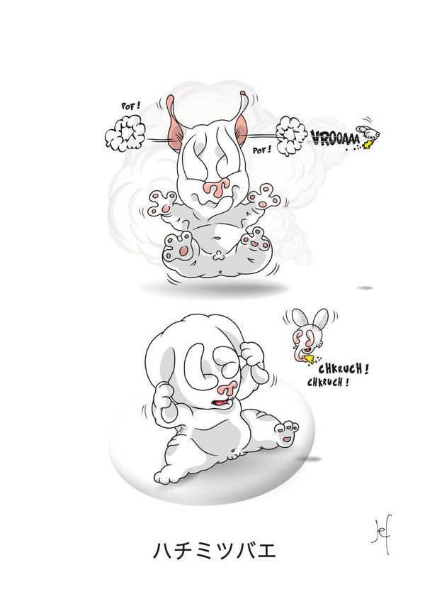デジタルポスター ハチミツバエ - 幅70cm X 高さ100cm