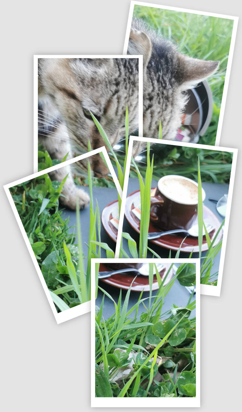 Saturday, April 18, 10:00 a.m. garden