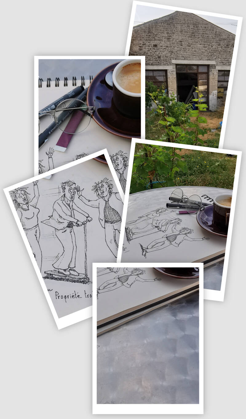 Wednesday, June 23, 8:00 a.m. in the garden