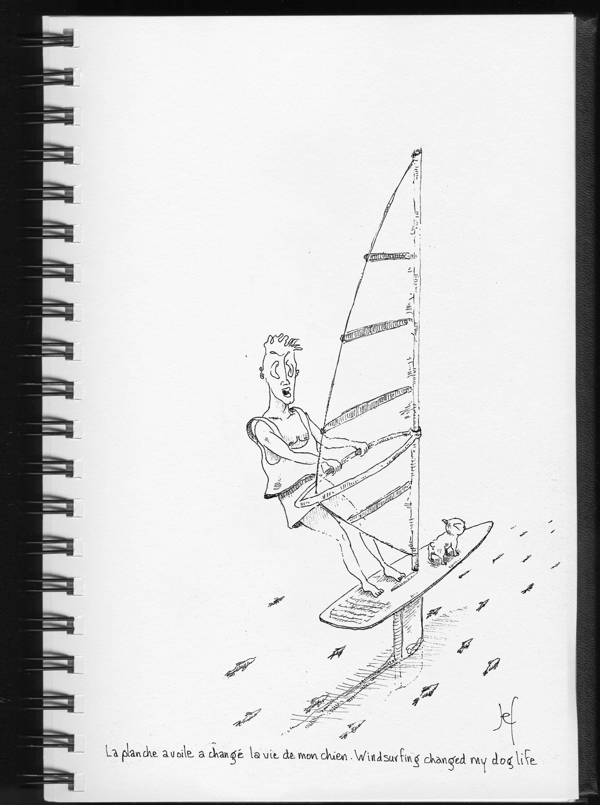 Windsurfing changed my dog's life.