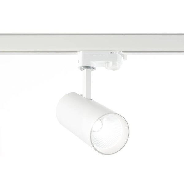 Eurostandaard Railspot - CREE LED-module -30W - Wit