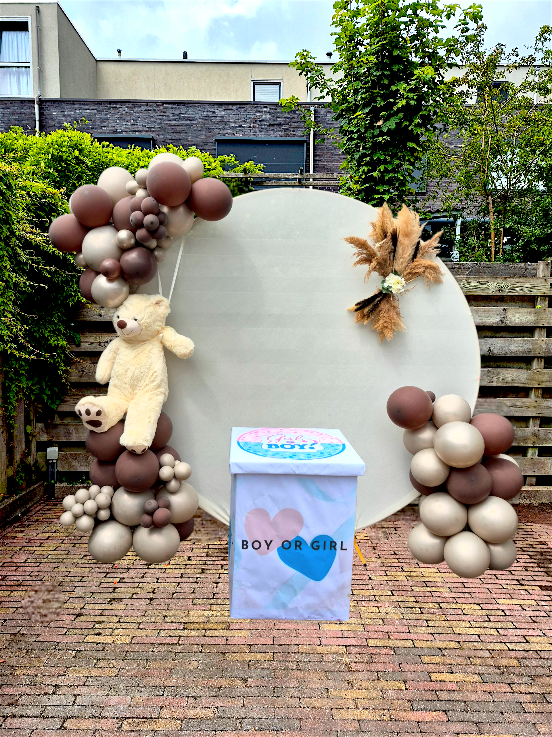 Baby shower backdrop