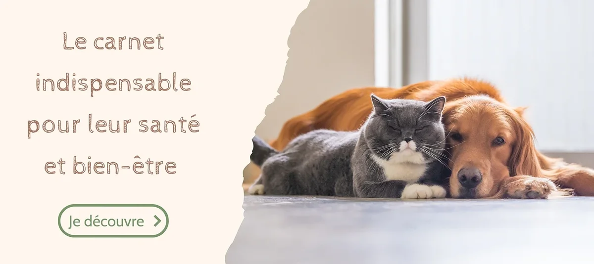 Carnets de suivi animaux personnalisés | Pour chiens, chats, lapins