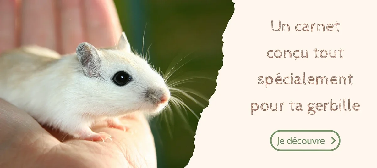 de suivi & santé pour animaux Chroniques Animales — free download