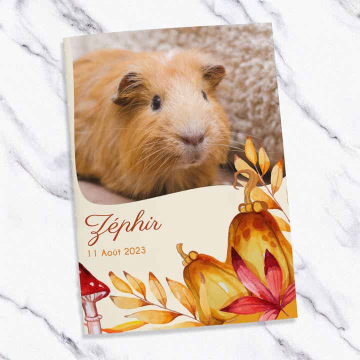 Carnet de santé pour cochon d’Inde – Thème Automne