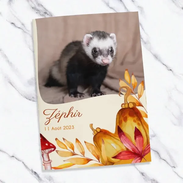 Carnet de santé personnalisé pour Furet