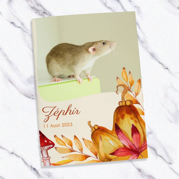 Carnet de santé pour rat – Thème Automne
