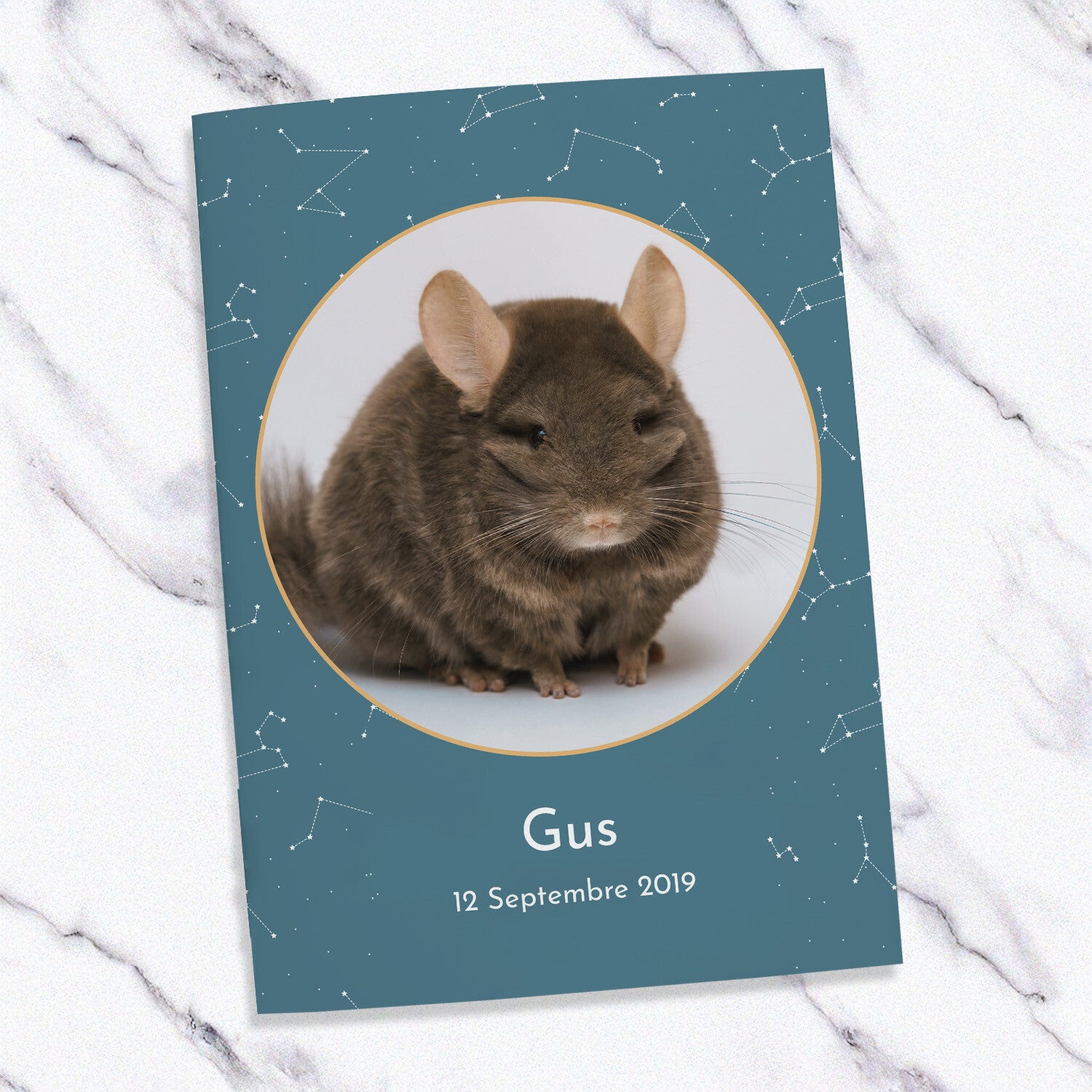 Carnet de santé personnalisé pour chinchilla ou octodon – Thème galaxie & étoiles