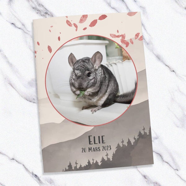 Carnet de suivi santé chinchilla / octodon – Design japonais délicat & poétique