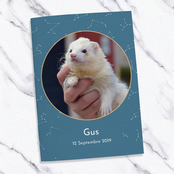 Carnet de santé pour furet – Thème Espace | Pour les furets rêveurs et aventuriers
