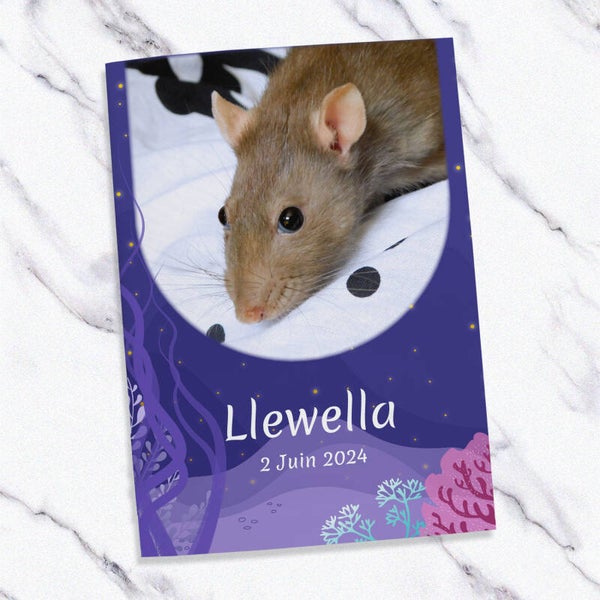 Carnet de santé pour rat | Suivi complet & ambiance marine