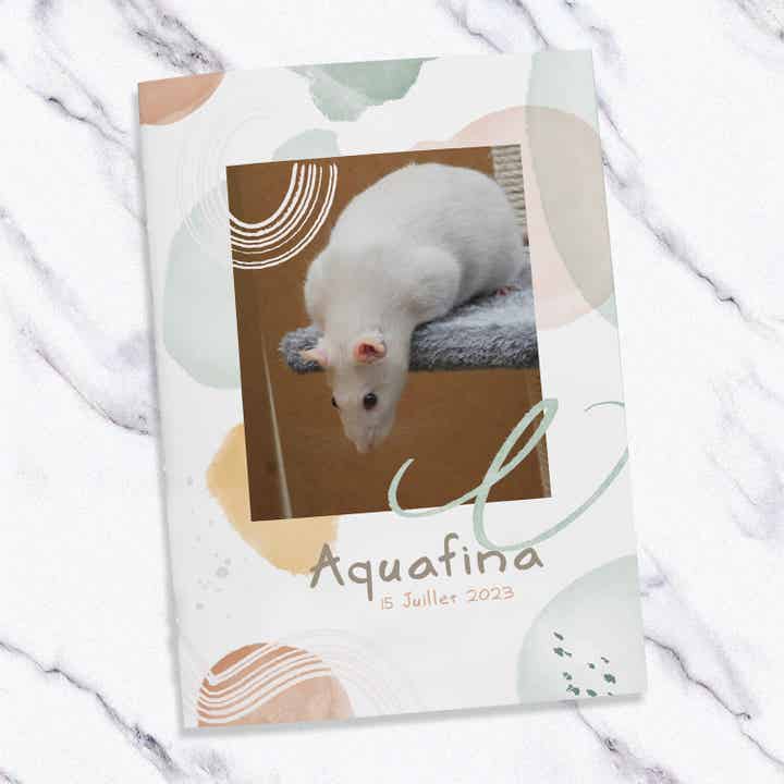 Carnet de santé pour rat | Un carnet coloré, doux et personnalisé