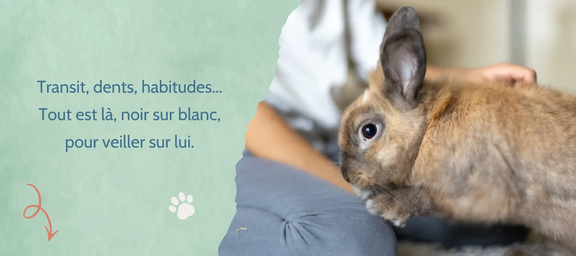 Carnets de suivi de sante et de vie complet pour lapins