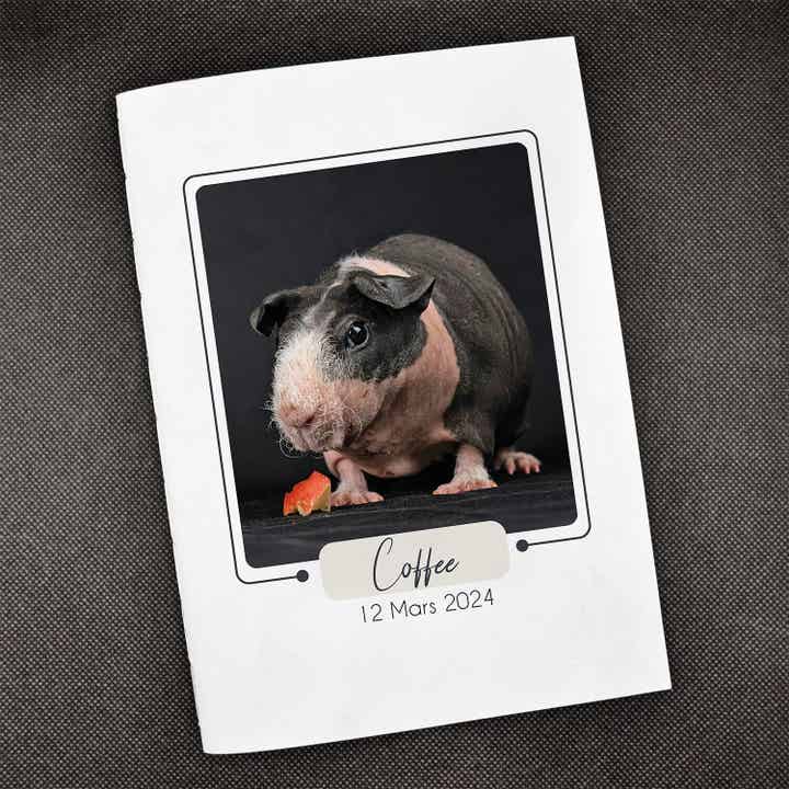 Carnet de santé pour cochon d’Inde – Thème Minimaliste | Sobriété, clarté & efficacité