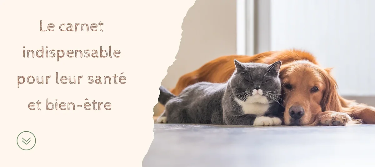 de santé personnalisés pour chiens et chats Chroniques Animales — free download