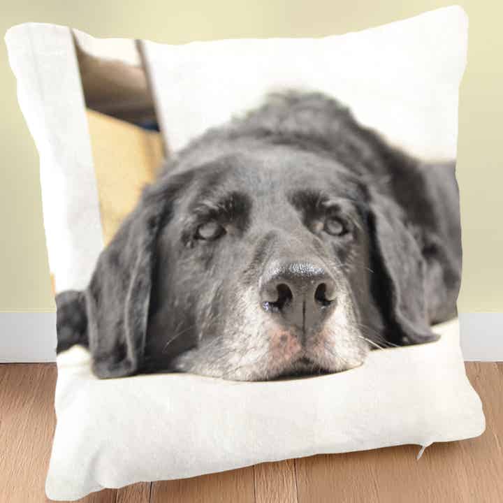 🐾 Coussin photo personnalisé pour animaux – Souvenir tout doux à câliner