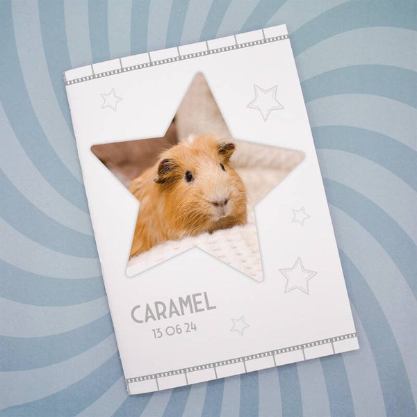 Carnet de santé pour cochon d’Inde – Thème Cinéma | Suivi de star & souvenirs inoubliables