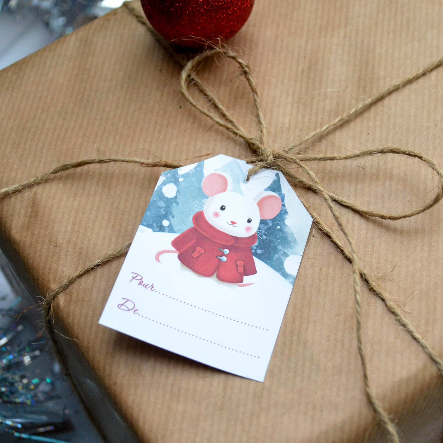 🎄 Étiquettes de Noël à imprimer – Lapin, rat, furet, souris & cochon d’Inde