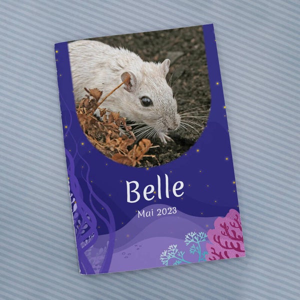 Carnet de santé animal – Thème Océan | Pour les petits rongeurs rêveurs et curieux