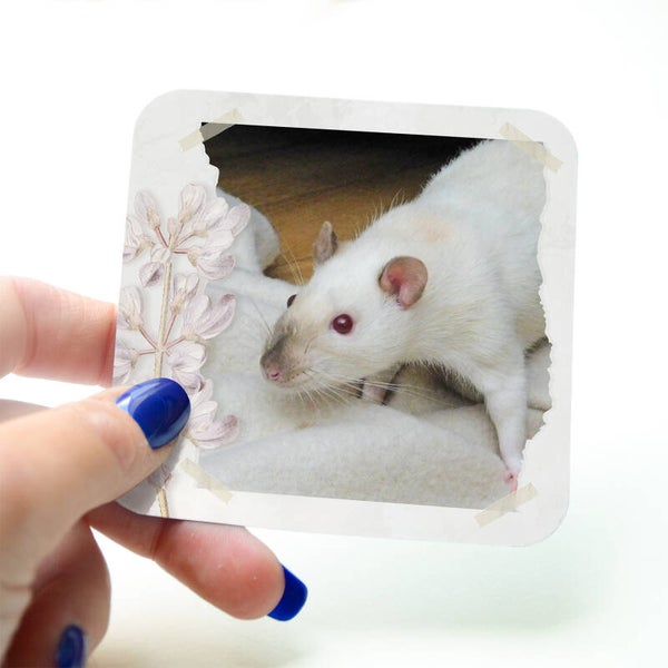 Magnet Photo Personnalisé - Herbier