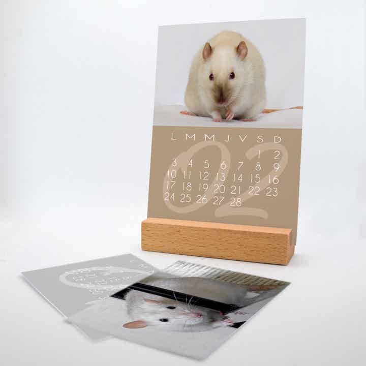 📅 12 mois de tendresse avec ton animal – Calendrier photo à poser, format vertical