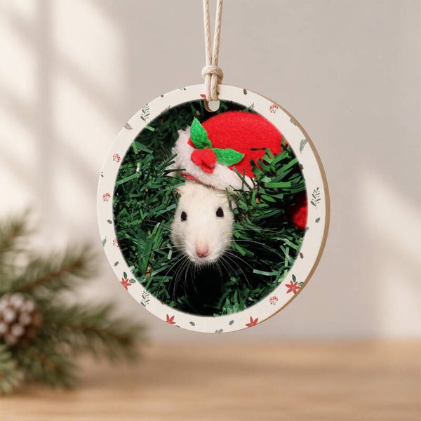 🎄 Suspension Sapin de Noël personnalisée avec photo