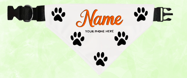 Collier pour chien basique - personnalisable