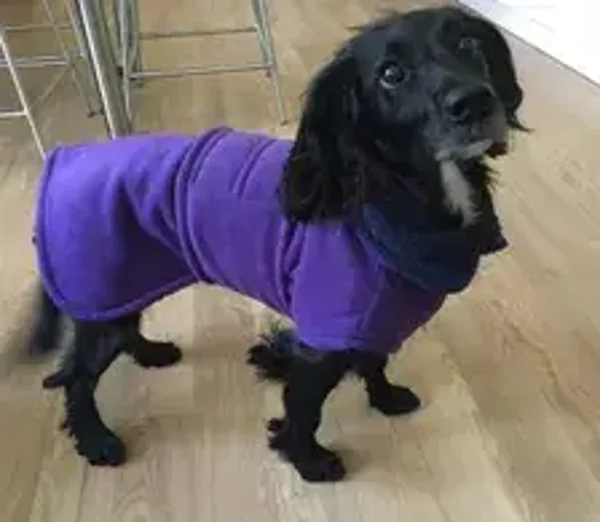 Groovy Dogs Ready Made Drying Coat