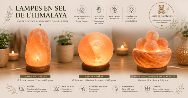 Lampes Sel d'Himalaya