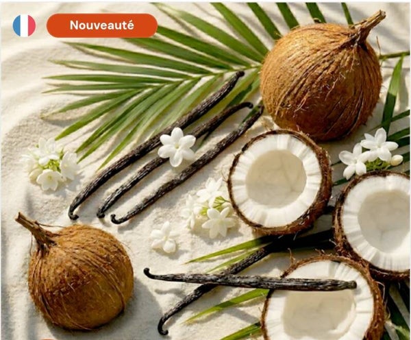 Bougie collection Ambre parfum Coco Solaire